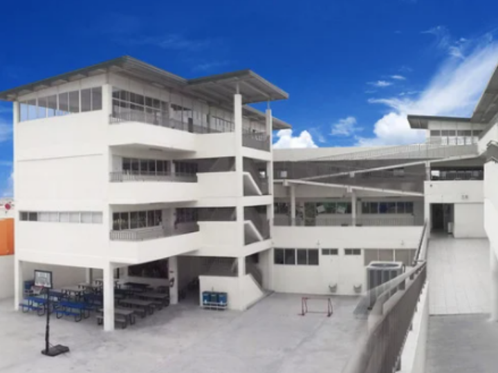 INSTITUTO NOUVEAU